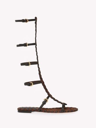 Gianvito Rossi Zaira Gladiator Sandal in Brown Suede And Lamb Leather at Nordstrom, Size 39