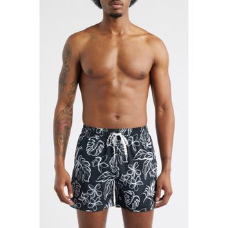 Chubbies Briefly in Paradise 5.5-Inch Swim Trunks in Black Pattern Base Plaids at Nordstrom, Size Xx-Large