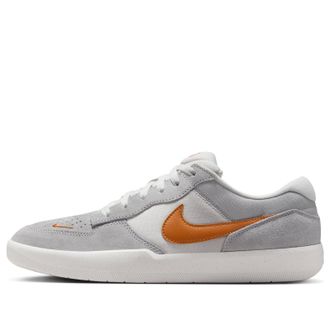 Nike SB Force 58 Platinum Tint Wolf Grey Summit White Monarch DV5477-007