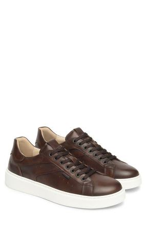 Nero Giardini Low Top Sneaker in Chocolate at Nordstrom, Size 10-10.5Us