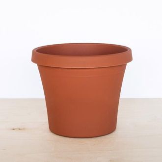 Bloem 12 Inch Terra Pot Planter, Terra Cotta in Brown at Nordstrom