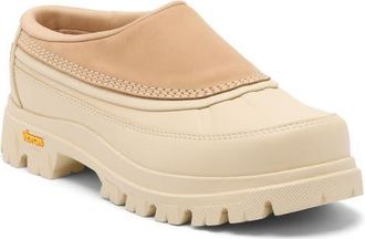 Sorel Daystorm Clog in Canoe/Bleached Ceramic at Nordstrom, Size 11.5