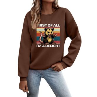 Generic Hoodies Y2K for Women First Of All Im A Delight Sarcastic Sweatshirt Funny Sarcastic Hoodie Angry Long Sleeve Tops Pullover Sweatshirt 2024 New