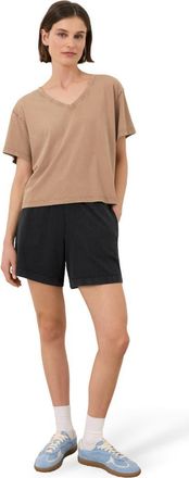 Pact Organic Cotton Vintage Jersey V-Neck Tee in Washed Driftwood Brown at Nordstrom, Size X-Large