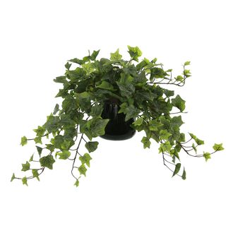 Creative Displays Inc. Ivy Arrangement in a Glass Vase