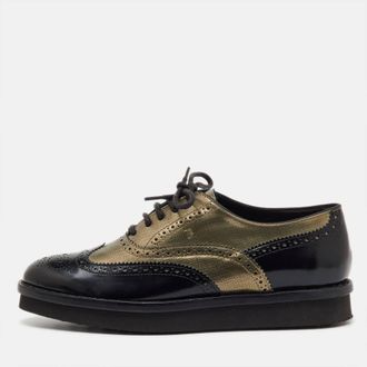 Tod's Tods Black/metallic Gold And Leather Brogue Wingtip Lace Up Oxfords