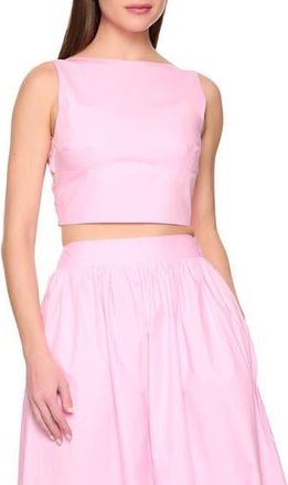 Susana Monaco Open Bow Back Cotton Poplin Top in Pastel Pink at Nordstrom Rack, Size X-Large