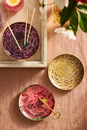 Terrain Printed Archival Trinket Trays, Set of 3