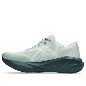 Asics Novablast 5 TR Nature Bathing Lichen Rock 1011C138-300