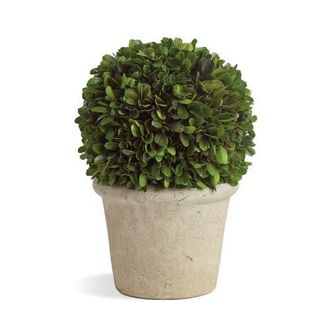 Napa Home & Garden Boxwood 8 Faux (Fake) Ball In Pot in Green at Nordstrom