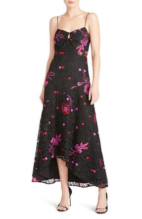 Monique Lhuillier Sleeveless Embroidered Lace A-Line Dress in Black Multi at Nordstrom, Size 6