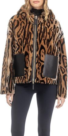 Gorski Genuine Shearling Hooded Jacket, Reversible in Ocelo Print/gold at Nordstrom, Size X-Large