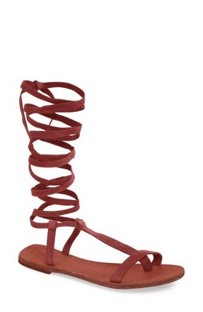 Free People Dahlia Tall Gladiator Sandal in Rust Leather at Nordstrom, Size 10Us