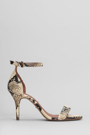 Arezzo Sandals