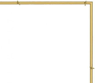 OEM Marco De Metal Dorado Para Puerta De Soporte, 210x210cm
