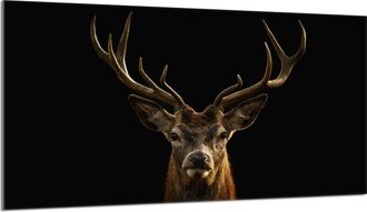 OEM Placa Protectora De Vidrio Para Estufa 90x52 Ciervo