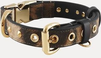 Vivienne Westwood Dog Collar Printed Pu Leopard-wild-beauty One Size Unisex