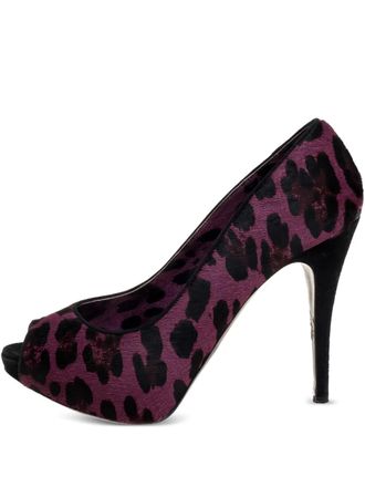 Dolce & Gabbana 120 mm pumps met luipaardprint en open neus - Paars