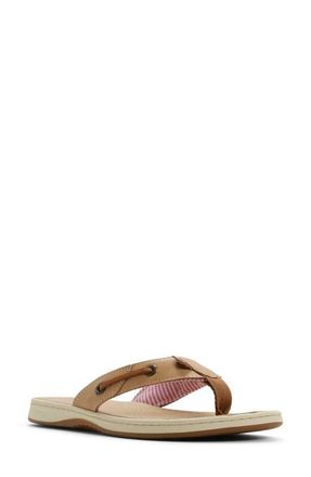 Sperry Top-Sider Seafish Flip Flop in Tan at Nordstrom, Size 10.5
