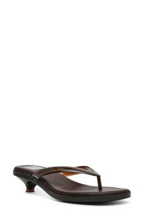 Dolce Vita Cicely Kitten Heel Flip Flop in Brown at Nordstrom Rack, Size 10