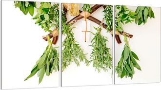 OEM Placa Protectora De Vidrio Para Estufa 3x30x52