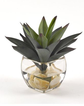 D&W Silks Inc Aloe Plant In Glass Cube