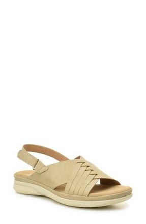 Taryn Rose Woven Slingback Sandal in Taupe at Nordstrom Rack, Size 6.5