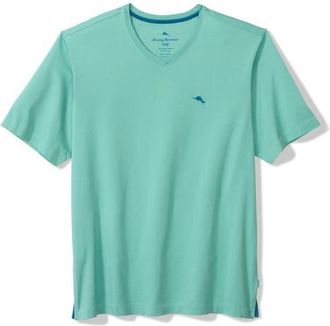 Tommy Bahama New Bali Skyline V-Neck Pima Cotton T-Shirt in Azure Water at Nordstrom, Size 3Xlt
