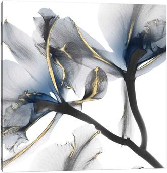 iCanvas Indigo Luster Cyclamen Ii By Albert Koetsier Wall Art