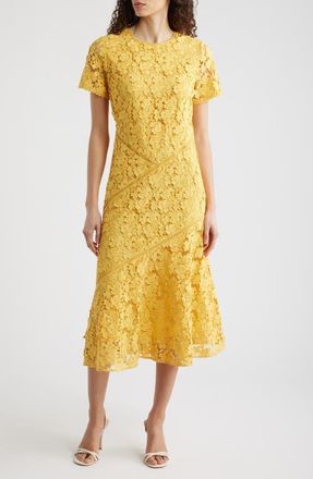 Elie Tahari The Marci Lace Dress in Golden Hour at Nordstrom, Size 2