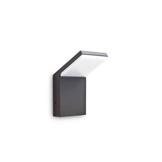 Netlighting Style LED 1 Light Outdoor Wall Light Anthracite IP54 in Black