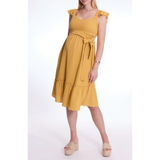 Cache Coeur Melody maternity and nursing dress in Cumin at Nordstrom, Size X-Large