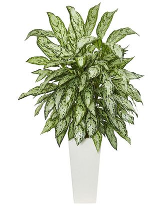 Nearly Natural Silver Queen Artificial Plant In Tower Planter