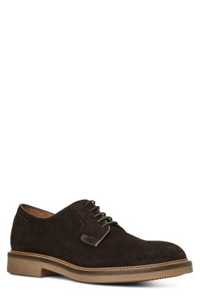 Aquatalia Placido Plain Toe Derby in Dark Brown Suede at Nordstrom, Size 10.5