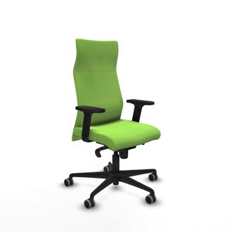 Piqueras y Crespo Silla De Oficina Albacete Piqueras Y Crespo B2d036g Pistacho