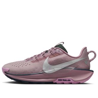 Nike (WMNS) Nike Pegasus Trail 5 Plum Dust Pink Metallic Silver DV3865-500
