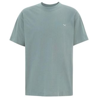 Iriedaily Mini Flag Relaxed Tee T-Shirt f&uuml;r Herren | t&uuml;rkis