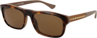 Web Brown Acetate Mens Sunglasses