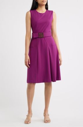 Anne Klein Belted Panel Jewel Neck Dress in Beet at Nordstrom, Size 14