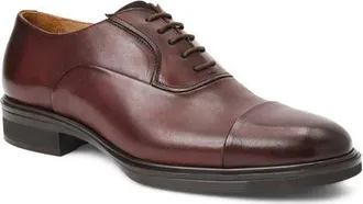 Bruno Magli Aero Porto Cap Toe Oxford in Moka Calf at Nordstrom, Size 11.5