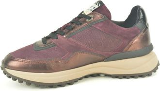 Floris Van Bommel Schoenen, Dames, Veelkleurig, 41 EU, Bordo Combi Runner N