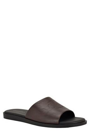 Calvin Klein Edenn Slide Sandal in Dark Brown at Nordstrom Rack, Size 10