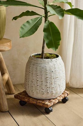 Terrain Woven Plant Dolly