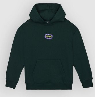 Volcom Fa Ozzy Po Kids Hoodie groen