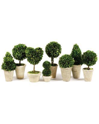 Napa Home & Garden Set of 8 Topiaries