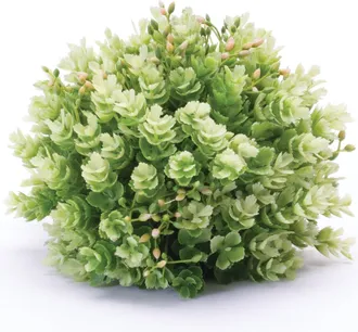 Melrose International Foliage Half Orb (Set of 2) - Green