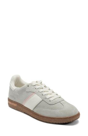 Earth Penny Leather Sneaker in Light Grey at Nordstrom, Size 7.5
