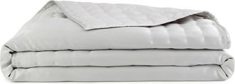 DKNY Hammered Silk & Cotton Blend Quilt in Platinum at Nordstrom, Size Full/queen
