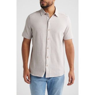 Johnston & Murphy Bennett Gingham Short Sleeve Button-Up Shirt in Tan Gingham at Nordstrom, Size Xxx-Large