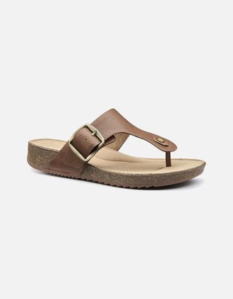 Hotter Womens Resort Womens Toe Post Sandals - Brown - Size: 5.5